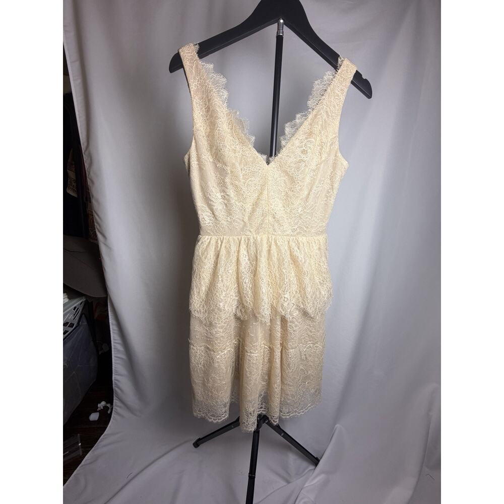 BCBGMaxAzria Tapioca Eyelash Lace Sheath Dress Size XS